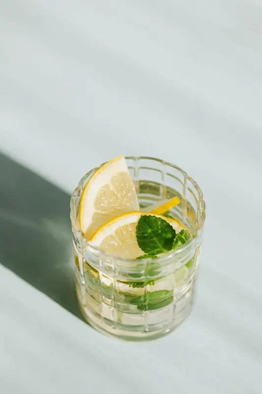 Alcohol-Free Gin: The Perfect Spirit for Tonic Lovers