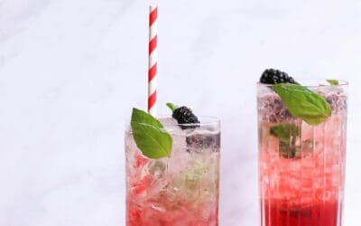 Berry Nojito